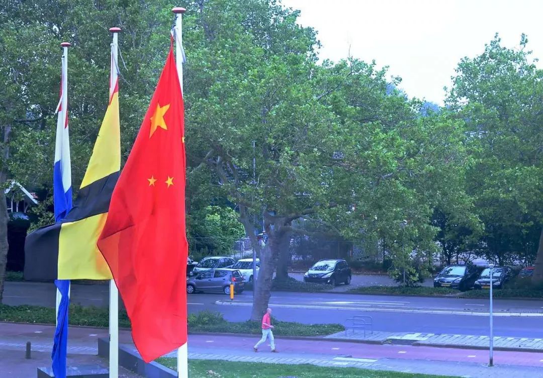 中国廊坊和荷兰皮市相遇，擦出什么样的火花？