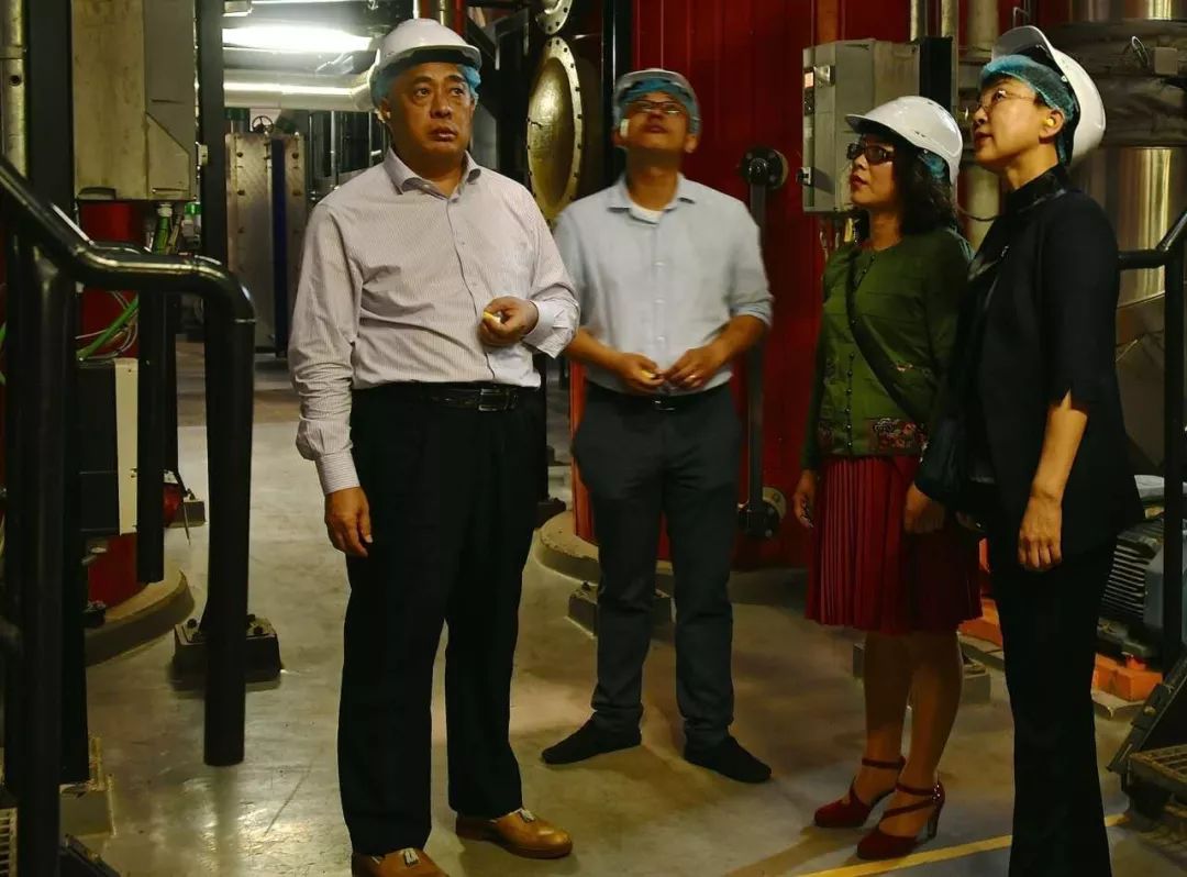 中国廊坊和荷兰皮市相遇，擦出什么样的火花？