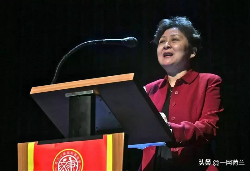 河南告别荷兰，艺术演出完美收官，华人团体功不可没